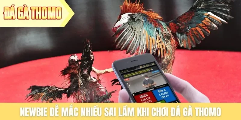 Newbie dễ mắc nhiều sai lầm khi chơi đá gà Thomo Newbie dễ mắc nhiều sai lầm khi chơi đá gà Thomo