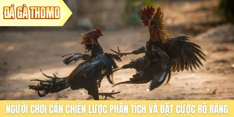 Người chơi cần có chiến lược phân tích và đặt cược rõ ràng Người chơi cần có chiến lược phân tích và đặt cược rõ ràng