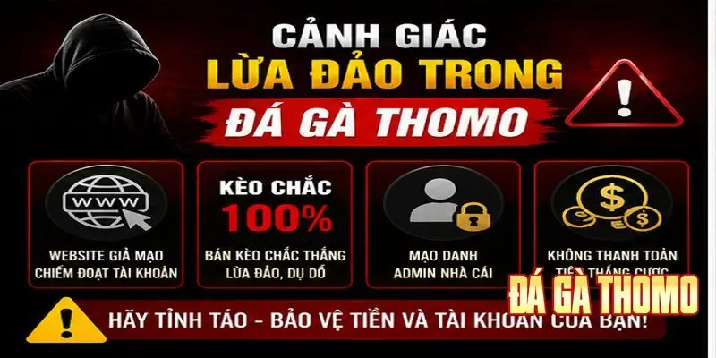 cảnh báo lừa đảo trong đá gà thomo