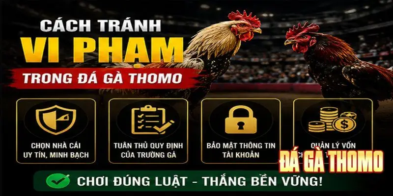 Cảnh báo người chơi tránh mất tiền oan